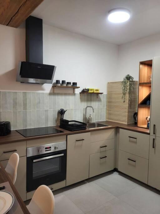 O Bon'Endroit - Appartement Confort - Centre Ville В'єнна Екстер'єр фото